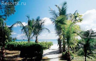 Acajou Resort Superior 17
